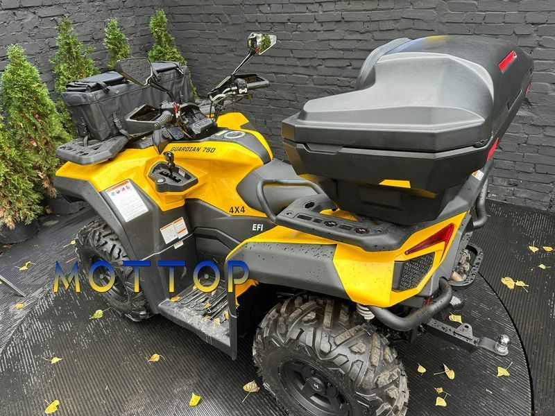 Кофр для квадроцикла ATV 8030 BOX 9029 фото