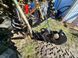 Мінітрактор Garden Scout ТУ 404 Гарден Скаут 10028 фото 10