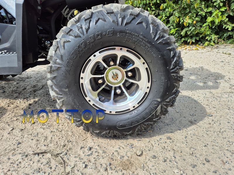 Квадроцикл FORTE ATV150P 150454 фото