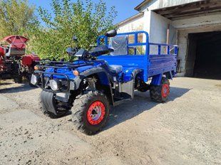 Квадроцикл вантажний FORTE ATV250BS-T Bashan 25011 фото