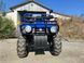 Квадроцикл вантажний FORTE ATV250BS-T Bashan 25011 фото 5