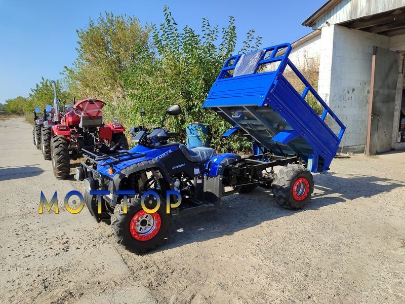 Квадроцикл вантажний FORTE ATV250BS-T Bashan 25011 фото