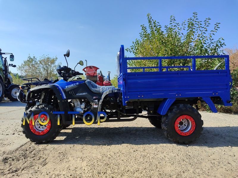 Квадроцикл вантажний FORTE ATV250BS-T Bashan 25011 фото