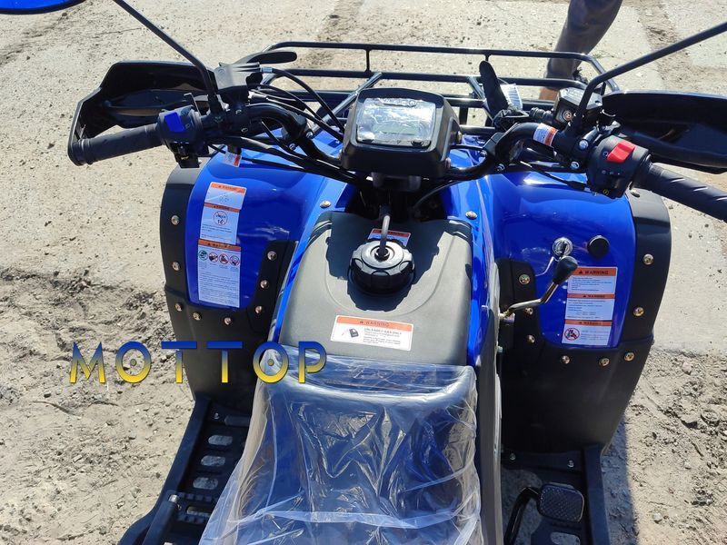 Квадроцикл вантажний FORTE ATV250BS-T Bashan 25011 фото
