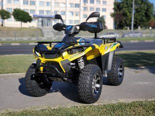 Електроквадроцикл Linhai LH40DA 2WD 4000W (з батареєю) 40098 фото