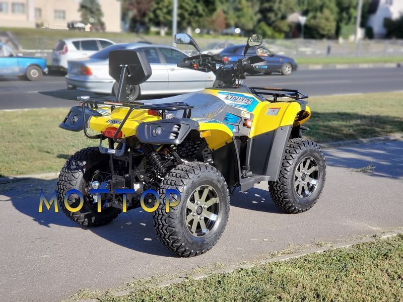 Электроквадроцикл Linhai LH40DA 2WD 4000W (с батареей) 40098 фото