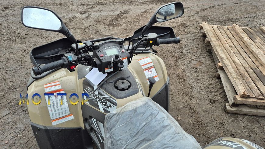 Квадроцикл Linhai LH400ATV-D EFI PROMAX 12971 фото