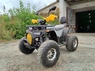 Квадроцикл Forte Hunter 125 Р 3004 фото
