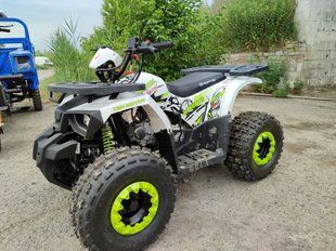 Квадроцикл Forte Hunter 125 3005 фото