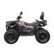 Квадроцикл Spark APEX 250 2501232 фото 6