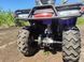 Квадроцикл Hisun 300 Motoleader 3008 фото 3