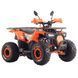Квадроцикл SPARK SP 125-9 1259785 фото 7