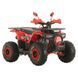Квадроцикл SPARK SP 125-9 1259785 фото 9