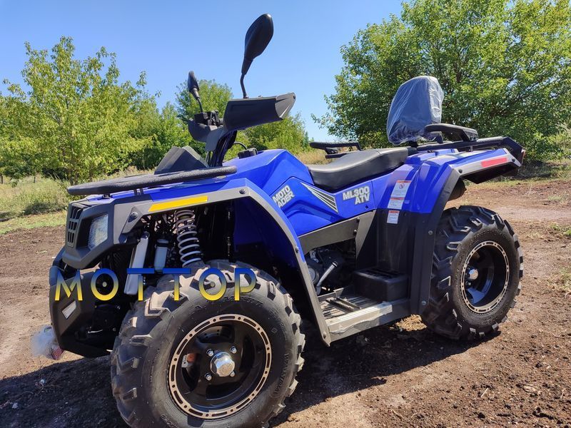 Квадроцикл Hisun 300 Motoleader 3008 фото