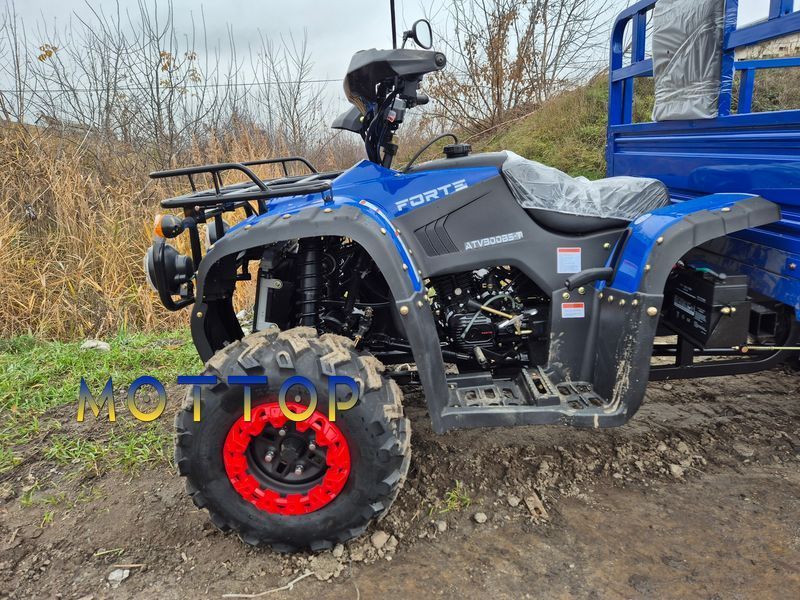 Вантажний Квадроцикл FORTE ATV-300BS-T 4х4  3000256 фото