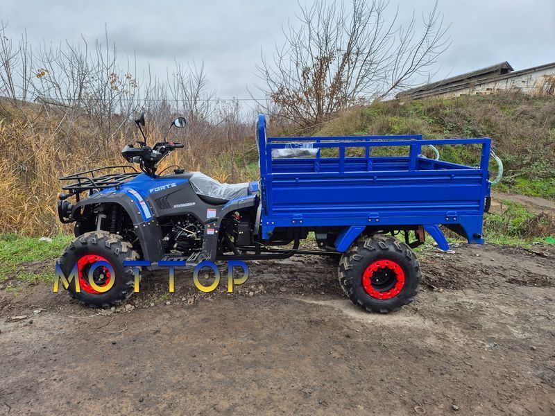 Вантажний Квадроцикл FORTE ATV-300BS-T 4х4  3000256 фото