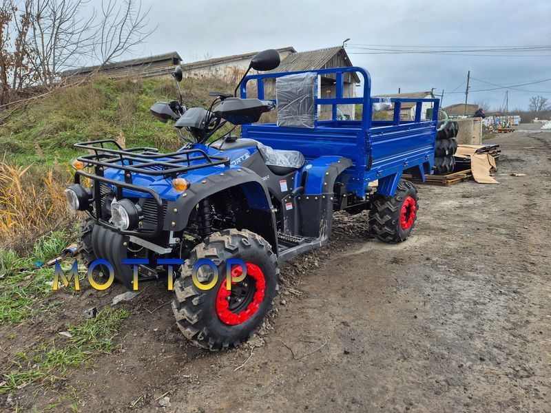 Вантажний Квадроцикл FORTE ATV-300BS-T 4х4  3000256 фото