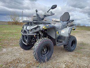 Квадроцикл MIKILON HAMMER 250L U-38 2504563 фото