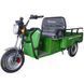 Трицикл з електромотором Spark Eco 1500w 15001563 фото 1