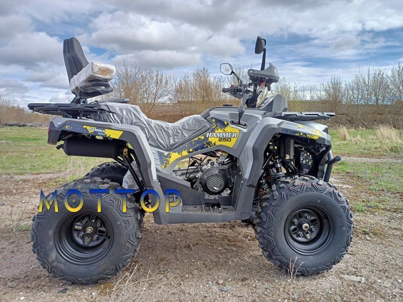 Квадроцикл MIKILON HAMMER 250L U-38 2504563 фото