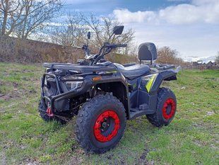 Квадроцикл Forte ATV-250BS-К (200) PRO 20025663 фото