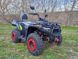 Квадроцикл Forte ATV-250BS-К (200) PRO 20025663 фото 3