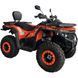Квадроцикл Spark Wild 200 201561 фото 10