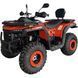 Квадроцикл Spark Wild 200 201561 фото 8