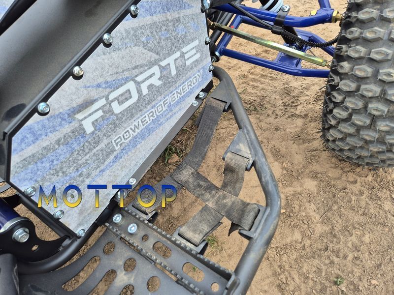Электроквадроцикл Forte ATV 1000I 1500 ватт 1000556 фото