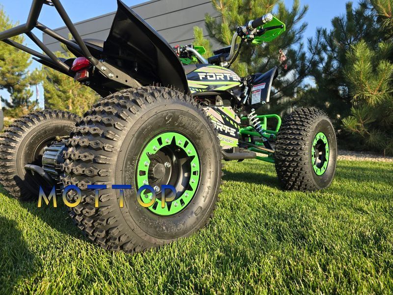 Электроквадроцикл Forte ATV 1000I 1500 ватт 1000556 фото