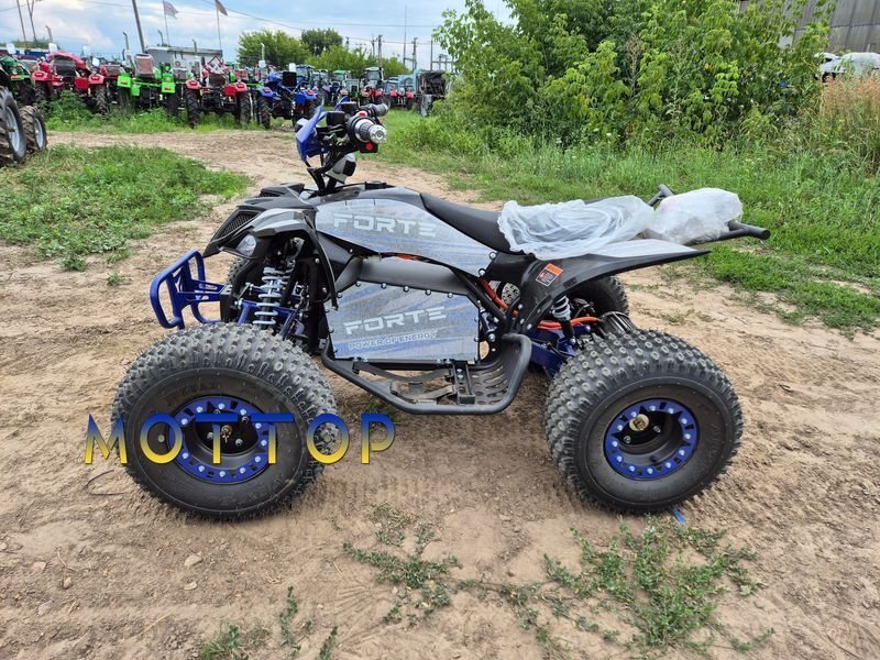 Электроквадроцикл Forte ATV 1000I 1500 ватт 1000556 фото