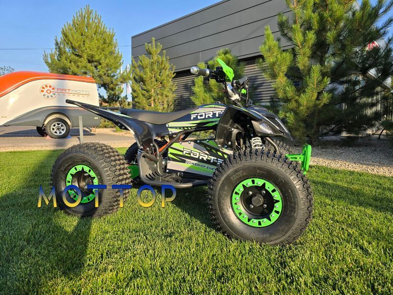 Электроквадроцикл Forte ATV 1000I 1500 ватт 1000556 фото