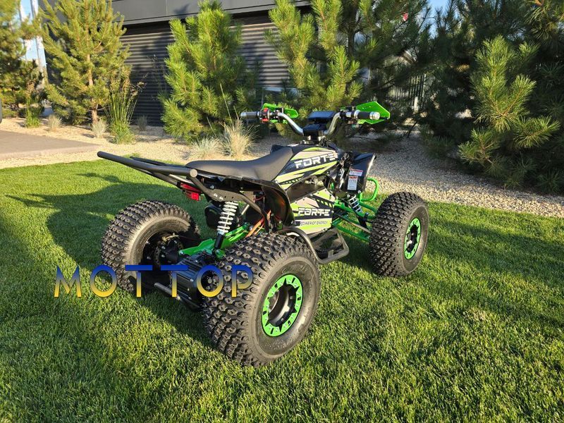 Электроквадроцикл Forte ATV 1000I 1500 ватт 1000556 фото