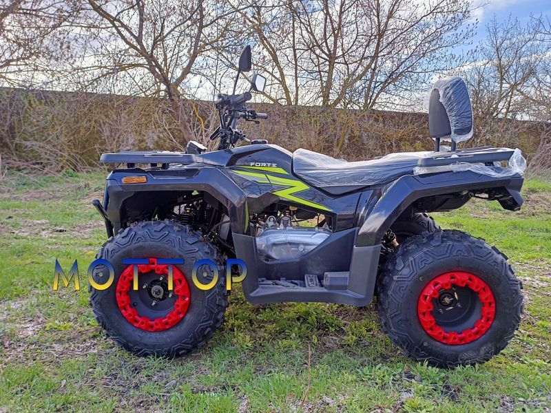 Квадроцикл Forte ATV-250BS-К (200) PRO 20025663 фото