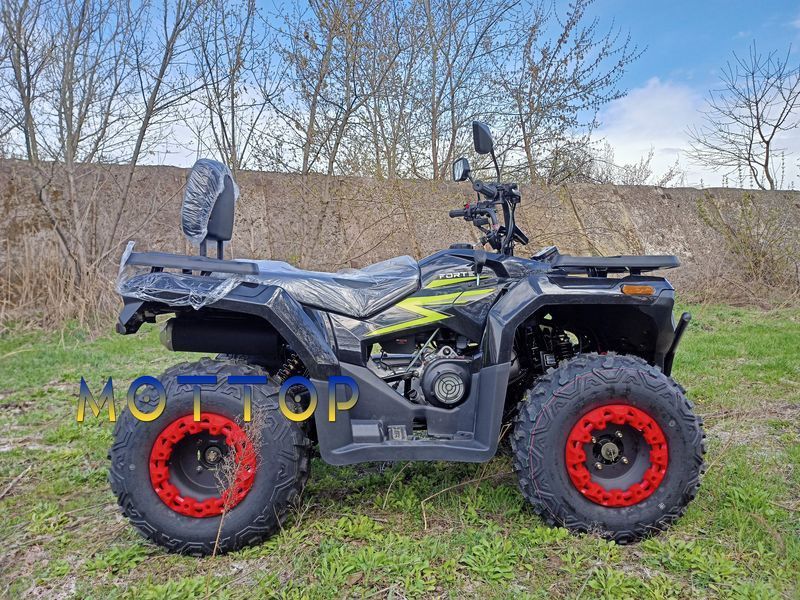 Квадроцикл Forte ATV-250BS-К (200) PRO 20025663 фото
