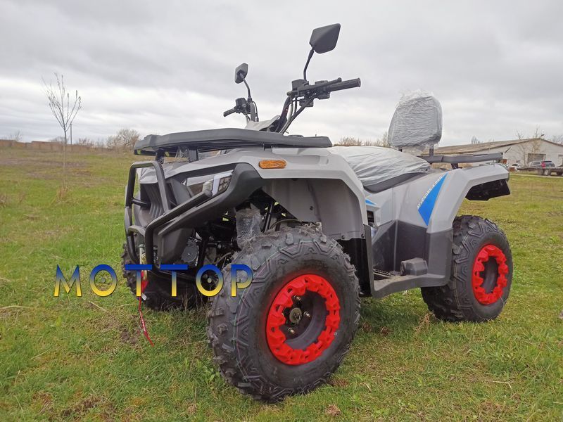 Квадроцикл Forte ATV-250BS-К (200) PRO 20025663 фото