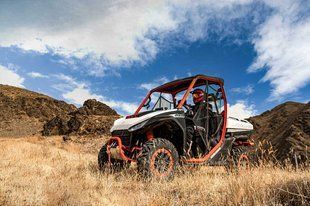 Segway Fugleman 115 фото