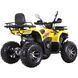 Квадроцикл SPARK SP200-10Е 2001052 фото 5