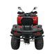 Квадроцикл Spark WILD 200SE 200013132 фото 2