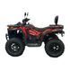 Квадроцикл Spark WILD 200SE 200013132 фото 4