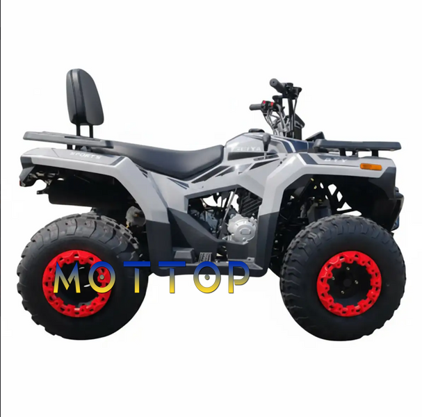 Квадроцикл Forte ATV-200BS PRO 2004332 фото