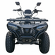 Квадроцикл Forte ATV-200BS PRO 2004332 фото 8