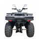 Квадроцикл Forte ATV-200BS PRO 2004332 фото 9