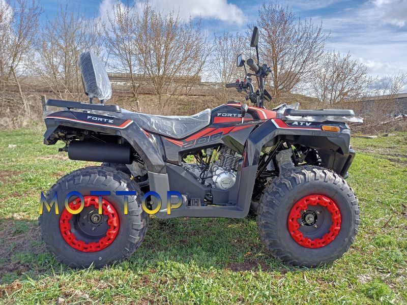 Квадроцикл Forte ATV-200BS PRO 2004332 фото