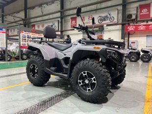 Квадроцикл Forte ATV-300BS 2WD 2025  3002563 фото