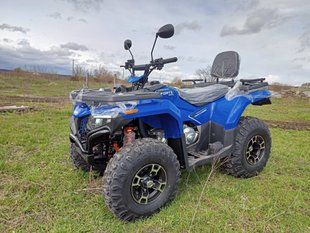 Квадроцикл FORTE ATV 300BS 3004421 фото