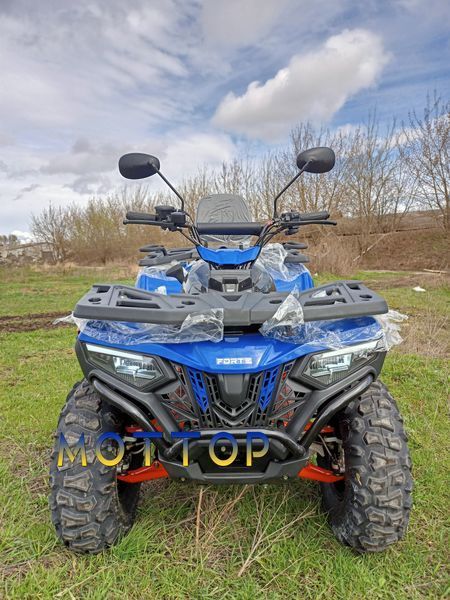 Квадроцикл FORTE ATV 300BS 3004421 фото