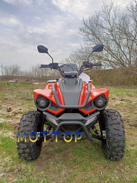 Квадроцикл Linhai Z250 EFI  17994 фото