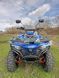 Квадроцикл FORTE ATV 300BS 3004421 фото 3