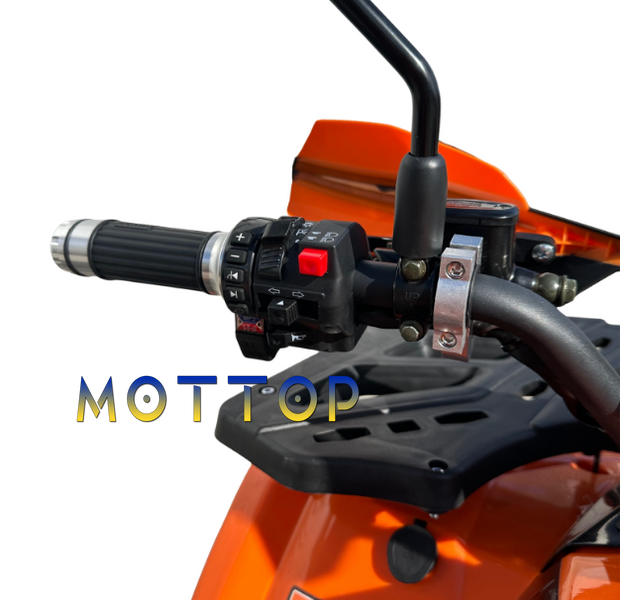 Электроквадроцикл DOZER Model T1500 1500065 фото